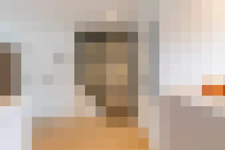 Zonnegloren 13 Boxtel thumbnail 23