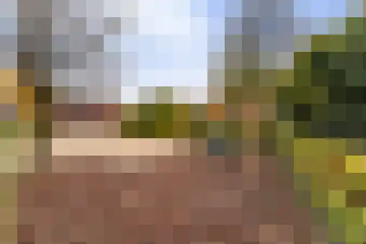 Zonnegloren 13 Boxtel thumbnail 4