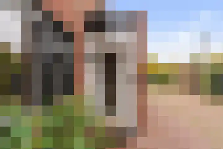 Zonnegloren 13 Boxtel thumbnail 5