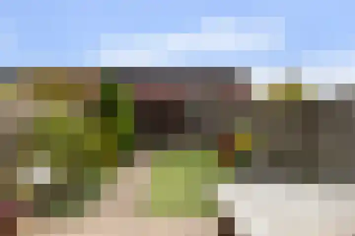 Zonnegloren 13 Boxtel thumbnail 57
