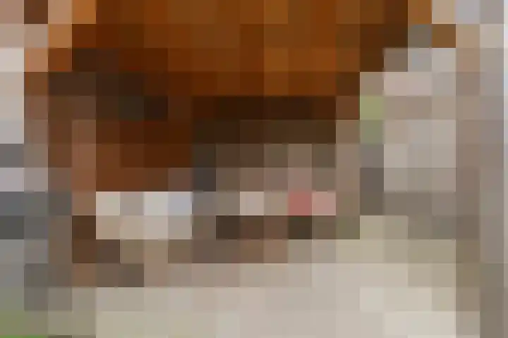 Zonnegloren 13 Boxtel thumbnail 60
