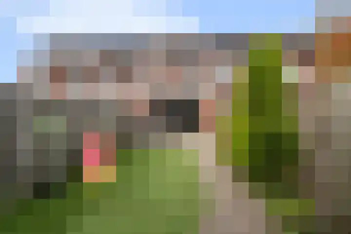 Zonnegloren 13 Boxtel thumbnail 64
