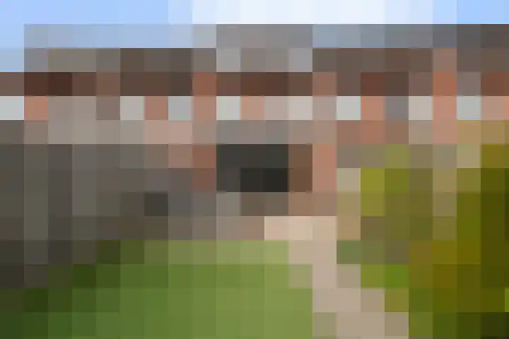 Zonnegloren 13 Boxtel thumbnail 65