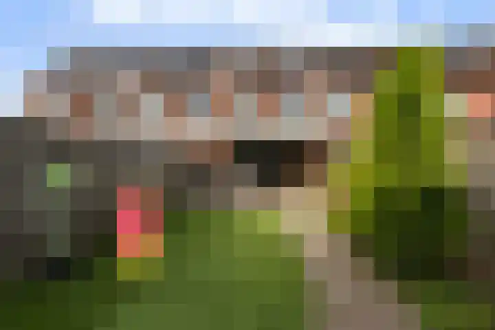 Zonnegloren 13 Boxtel thumbnail 66