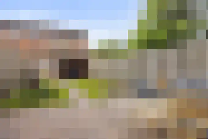 Zonnegloren 15 Boxtel thumbnail 38