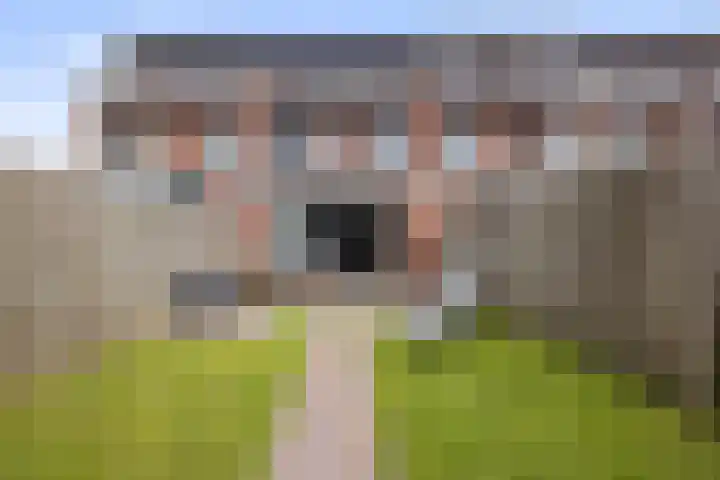 Zonnegloren 15 Boxtel thumbnail 42