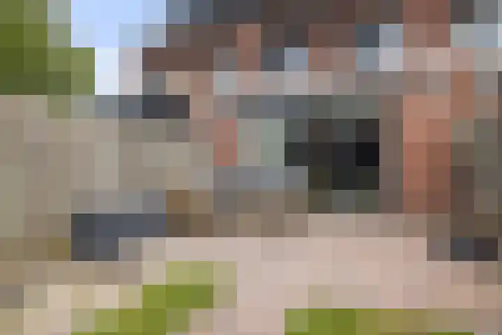 Zonnegloren 15 Boxtel thumbnail 43