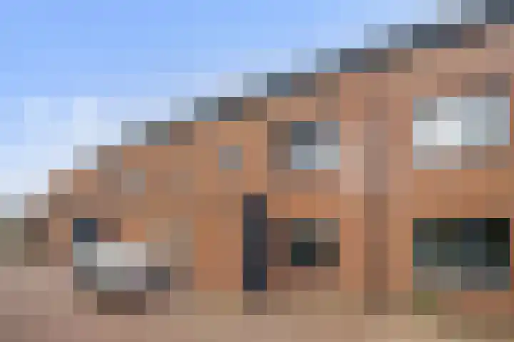 Zonnegloren 15 Boxtel thumbnail 8
