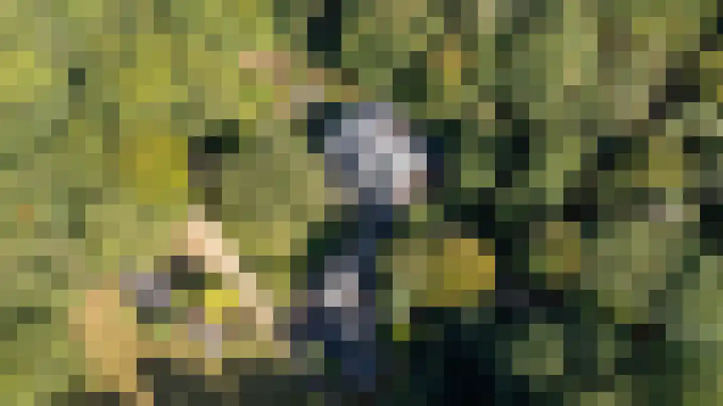 Zonnegloren 19 Beekbergen thumbnail 10