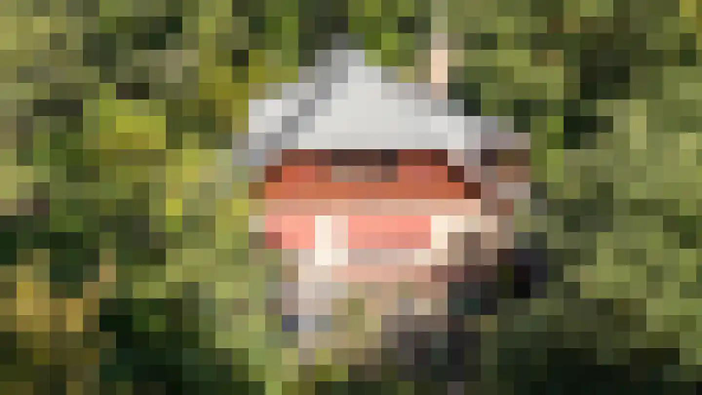 Zonnegloren 19 Beekbergen thumbnail 12