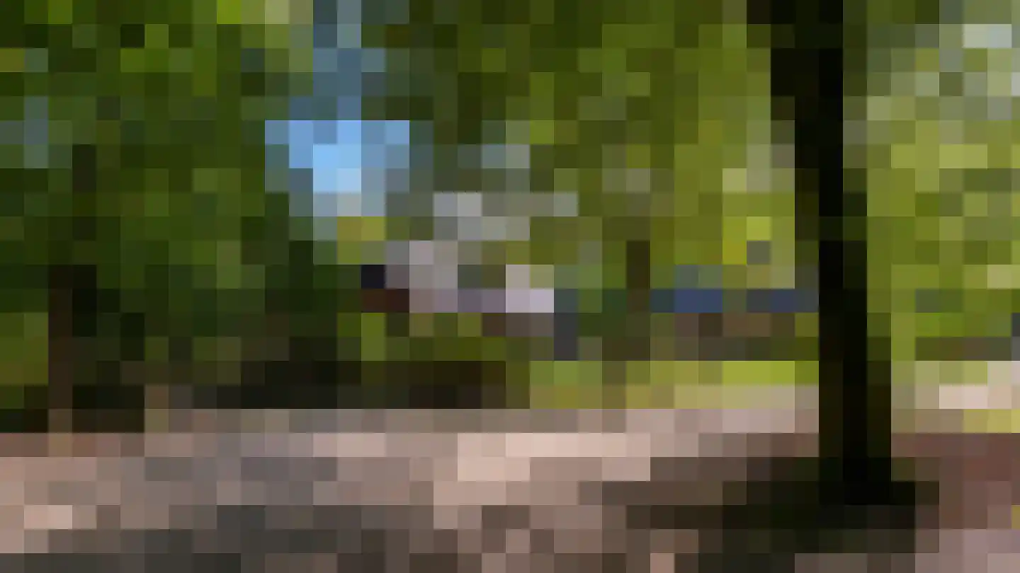 Zonnegloren 19 Beekbergen thumbnail 14