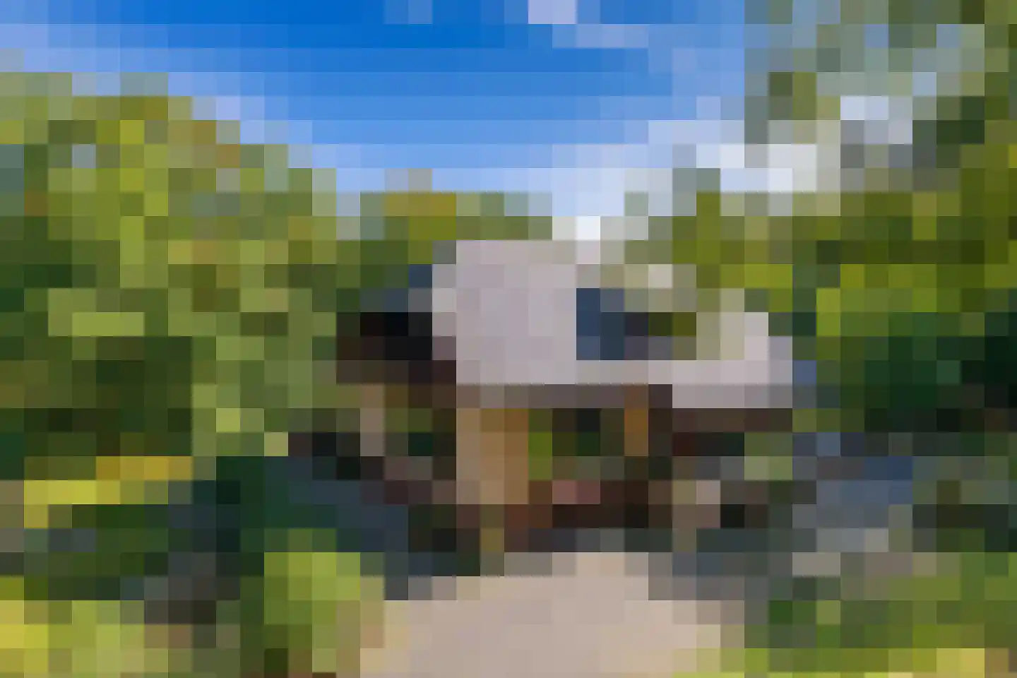 Zonnegloren 19 Beekbergen thumbnail 16