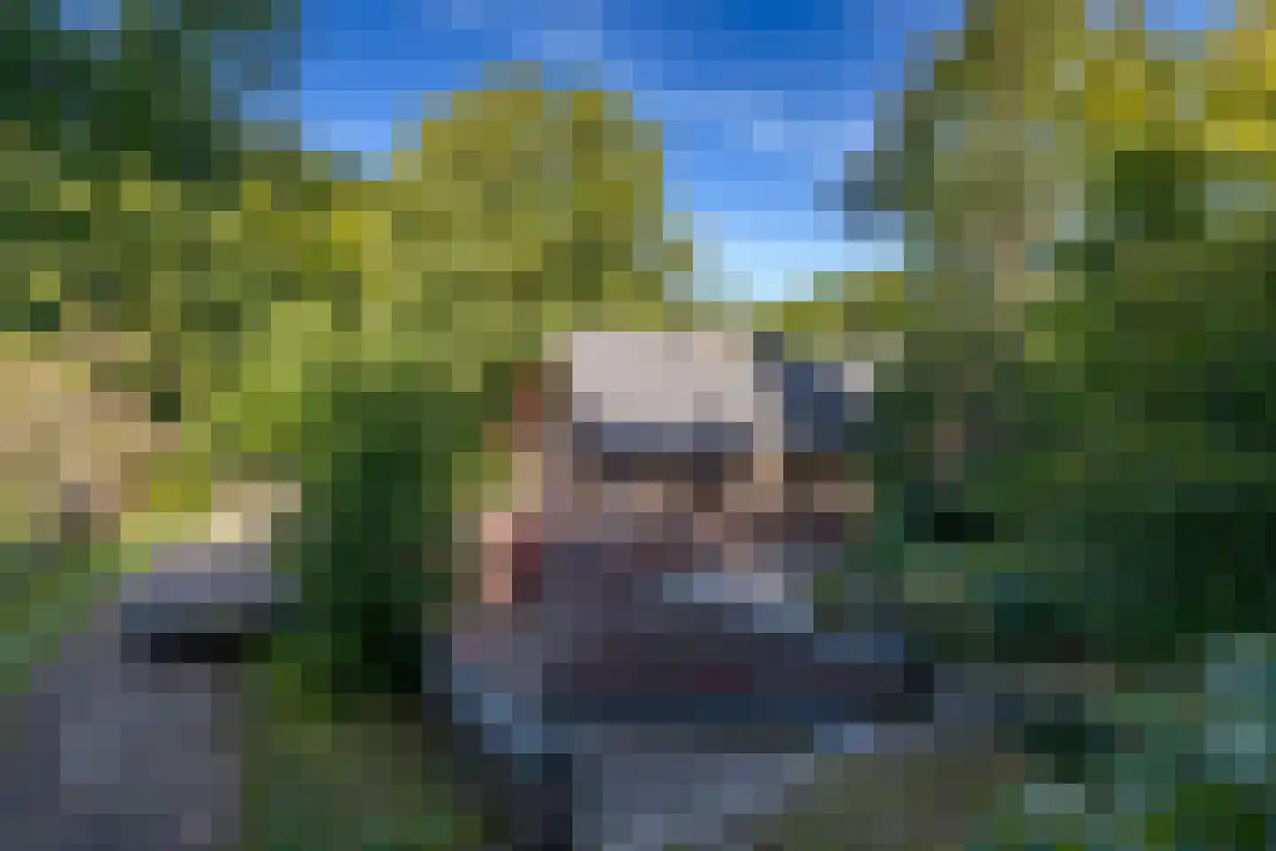 Zonnegloren 19 Beekbergen thumbnail 19