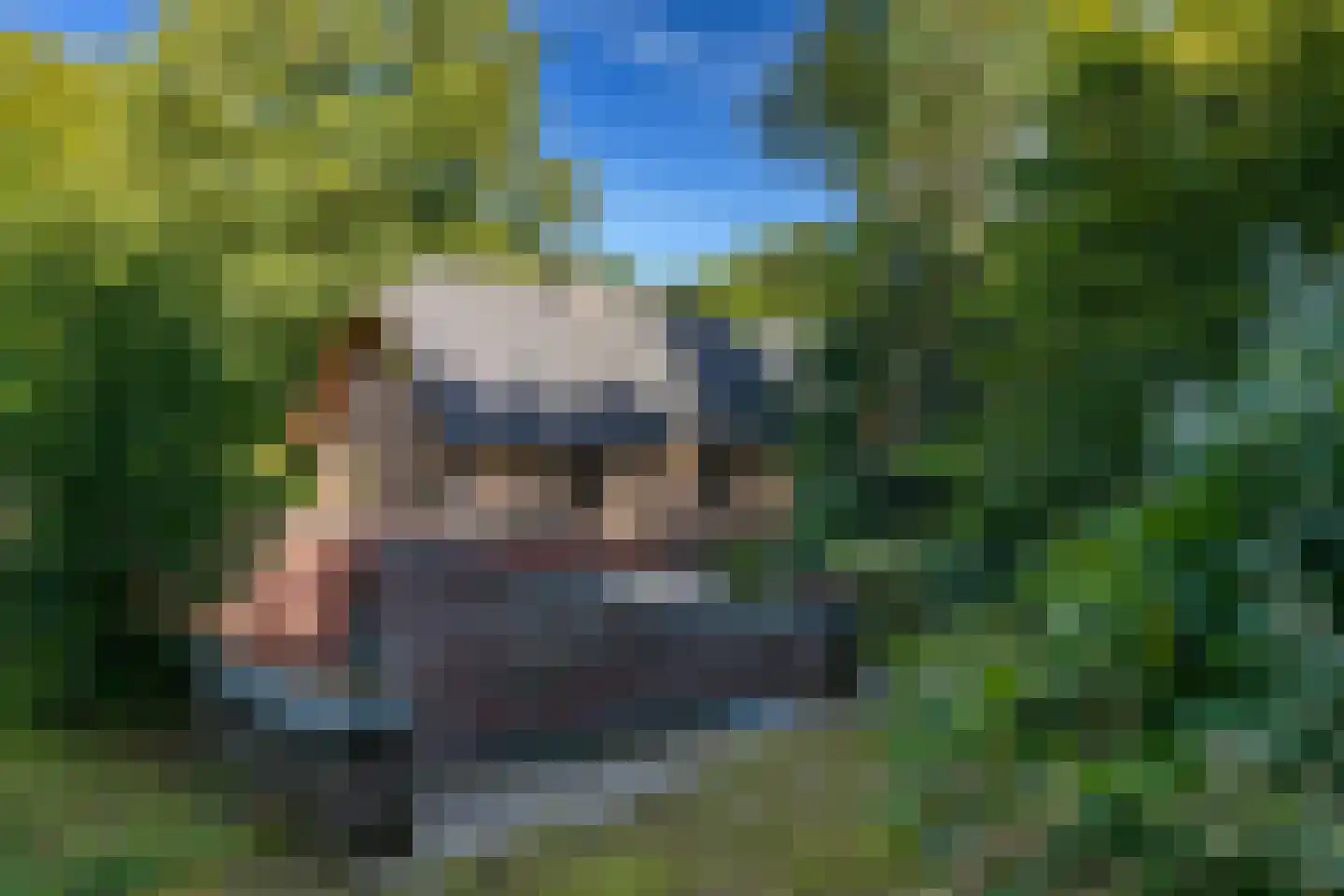 Zonnegloren 19 Beekbergen thumbnail 20