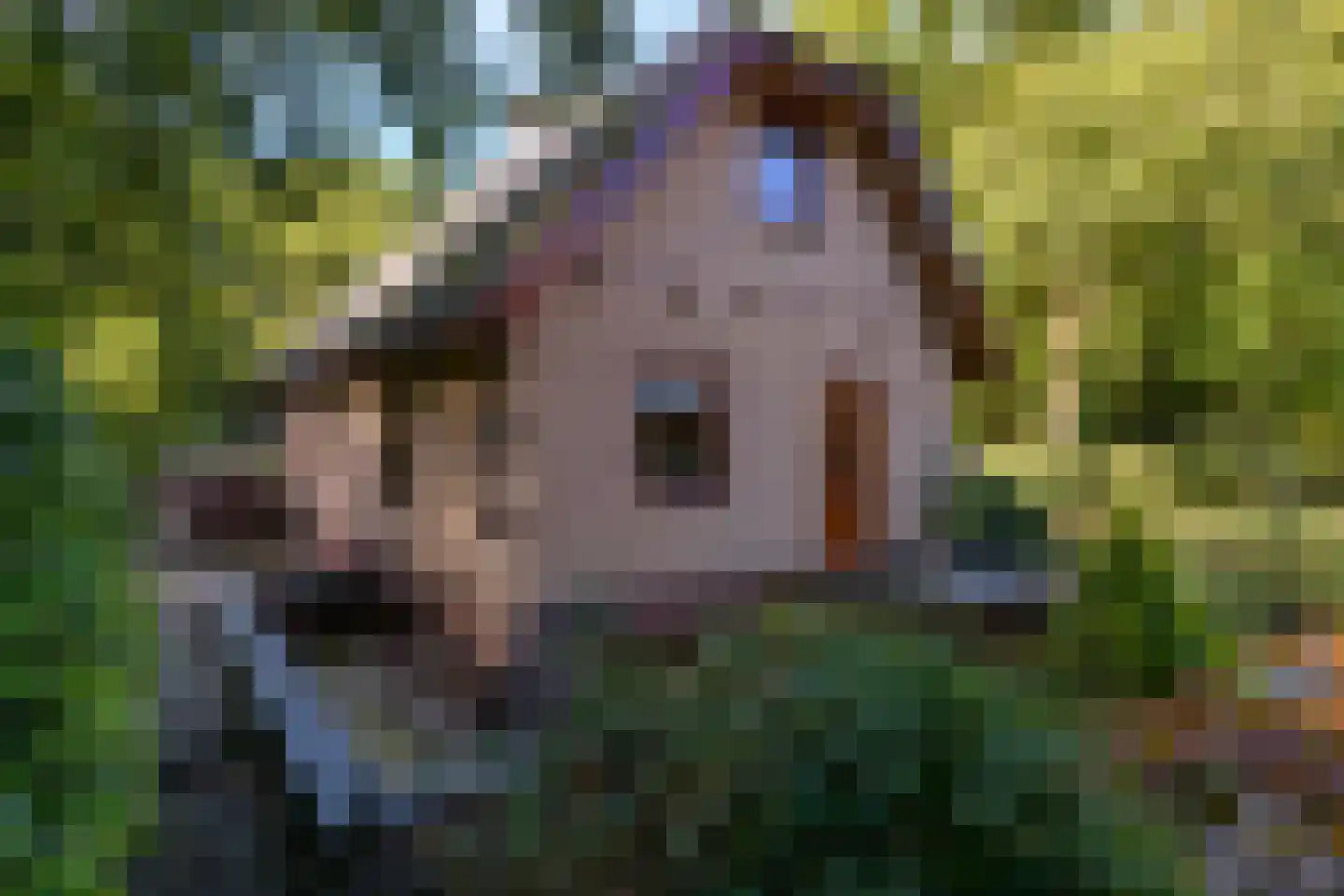 Zonnegloren 19 Beekbergen thumbnail 22