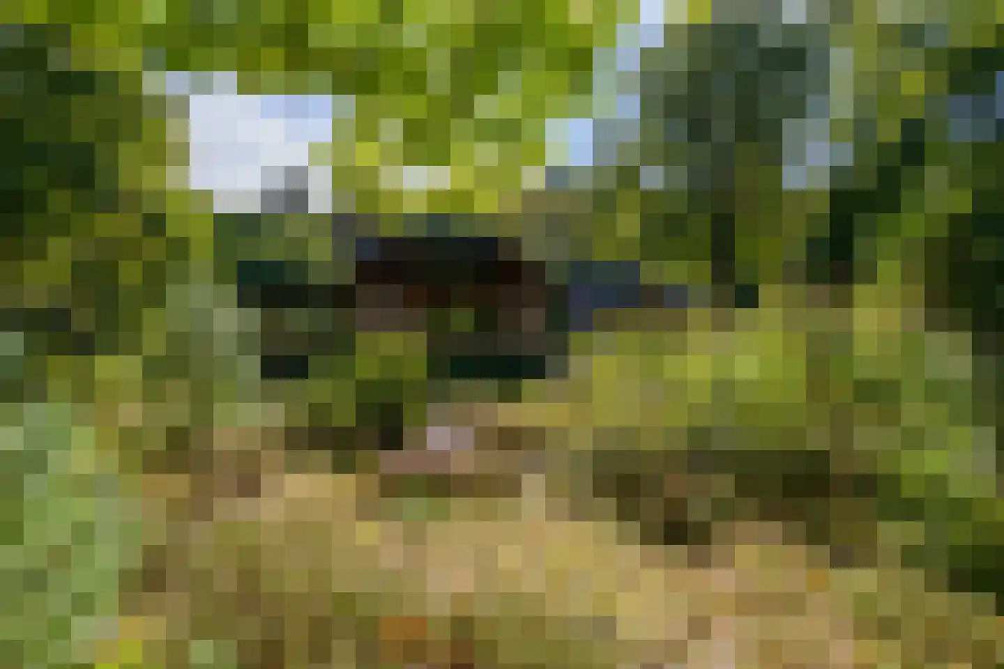 Zonnegloren 19 Beekbergen thumbnail 25