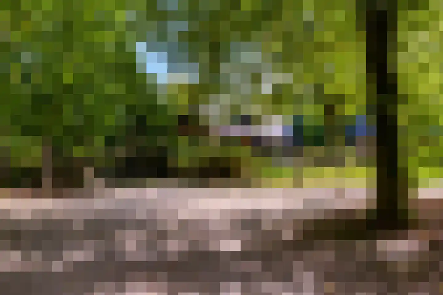 Zonnegloren 19 Beekbergen thumbnail 28