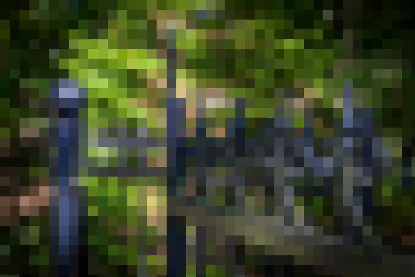 Zonnegloren 19 Beekbergen thumbnail 30
