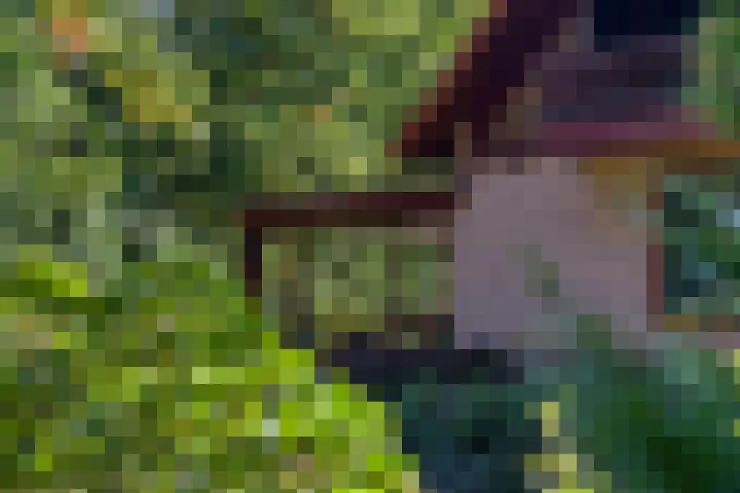 Zonnegloren 19 Beekbergen thumbnail 31