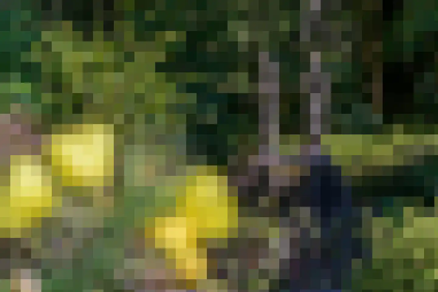 Zonnegloren 19 Beekbergen thumbnail 32