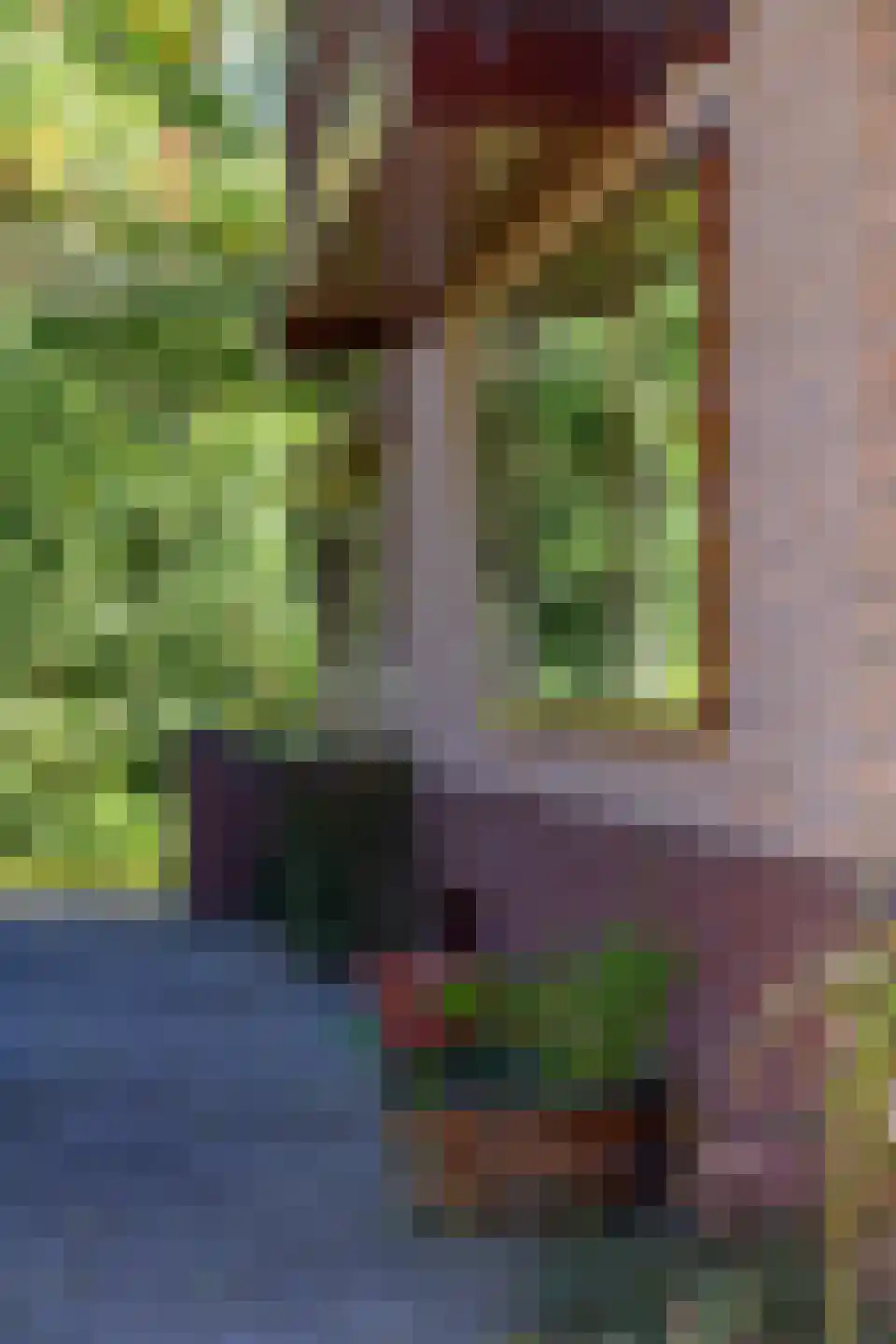 Zonnegloren 19 Beekbergen thumbnail 33
