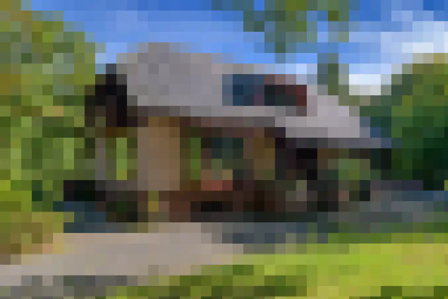 Zonnegloren 19 Beekbergen thumbnail 34