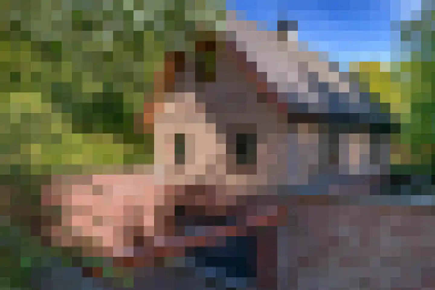Zonnegloren 19 Beekbergen thumbnail 36