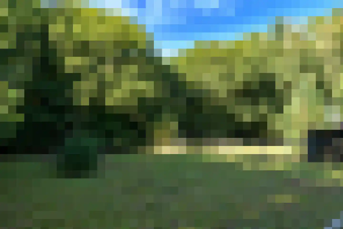 Zonnegloren 19 Beekbergen thumbnail 37
