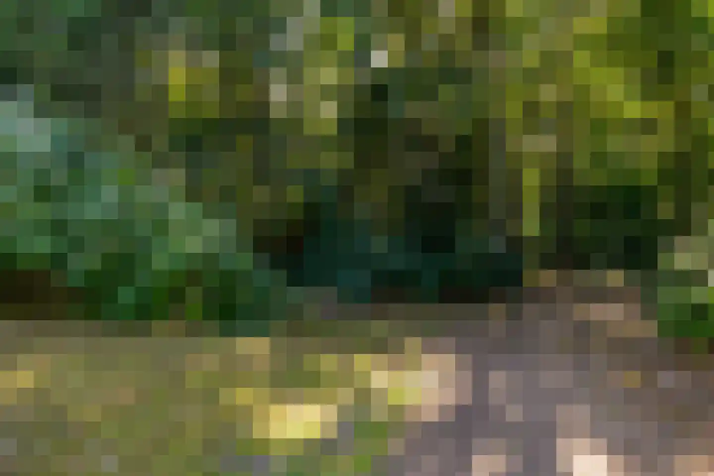 Zonnegloren 19 Beekbergen thumbnail 38