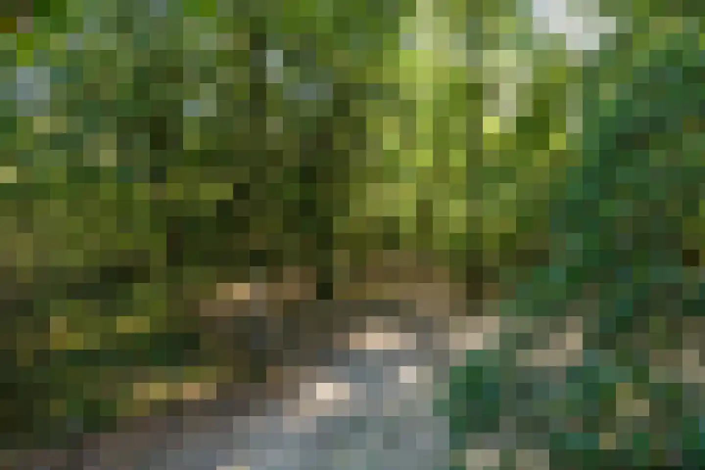 Zonnegloren 19 Beekbergen thumbnail 4