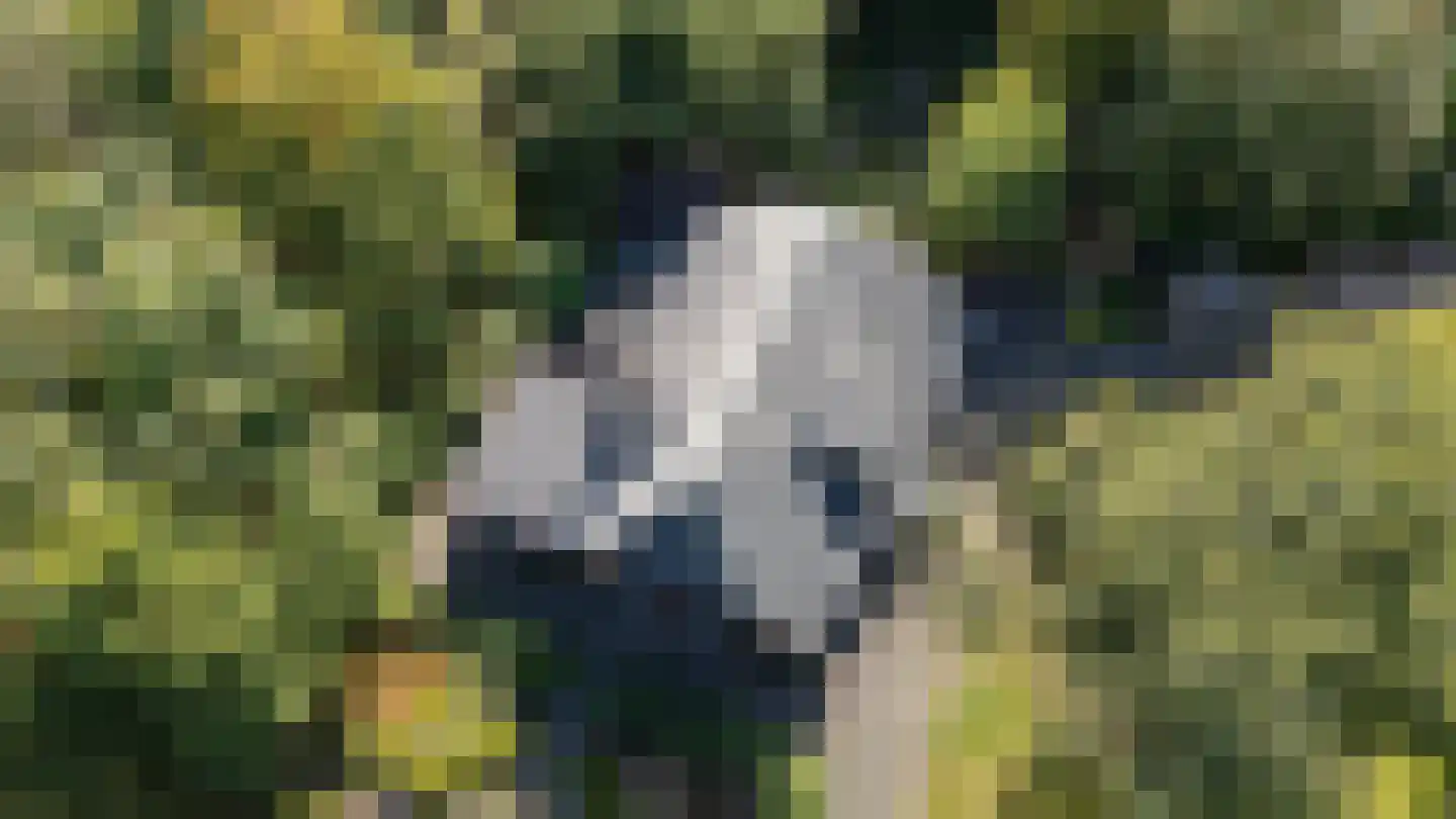 Zonnegloren 19 Beekbergen thumbnail 5
