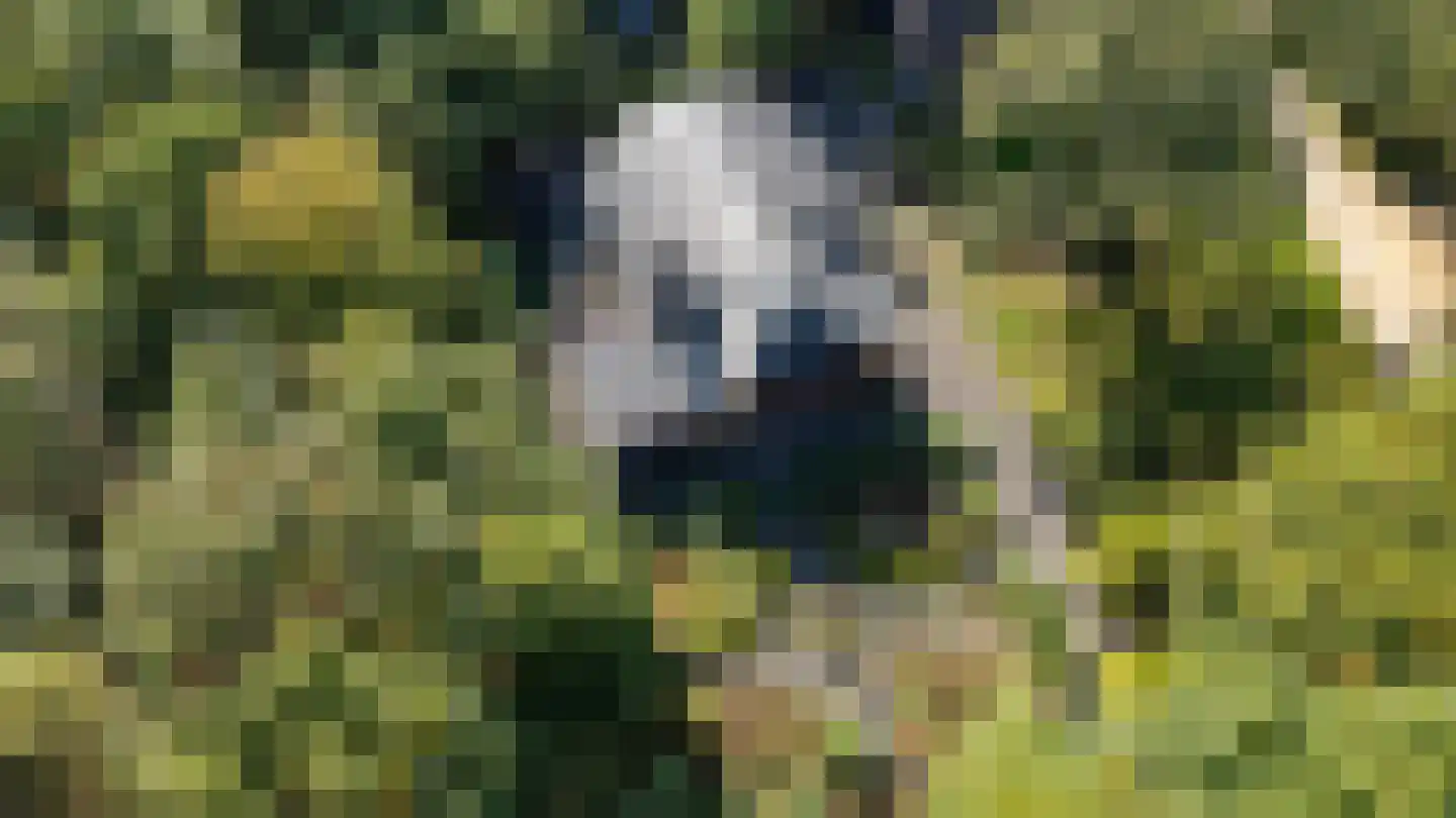 Zonnegloren 19 Beekbergen thumbnail 6