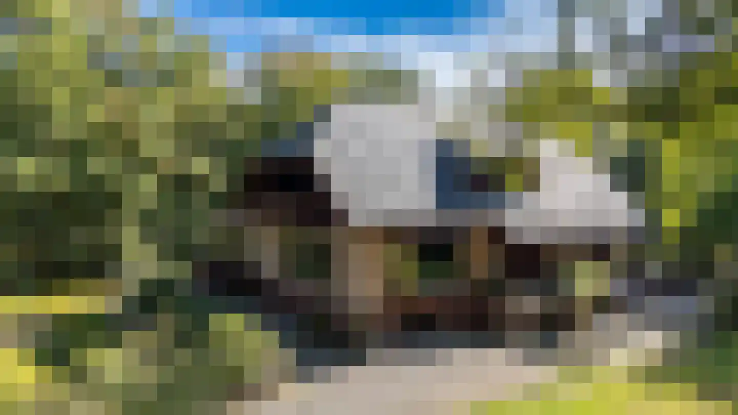Zonnegloren 19 Beekbergen thumbnail 7