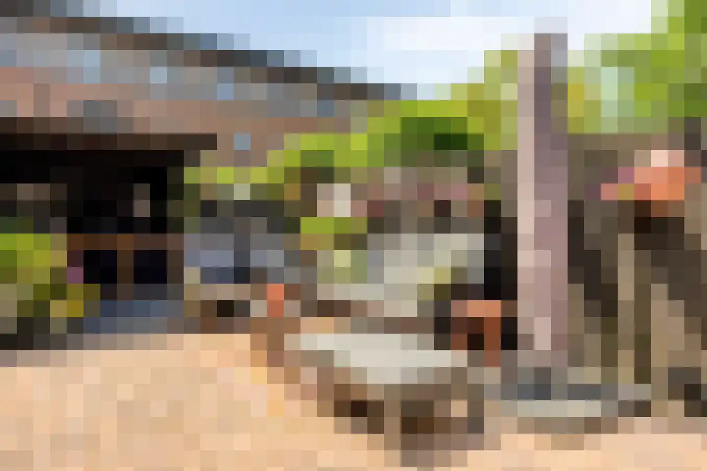 Zonnegloren 5 Boxtel thumbnail 43