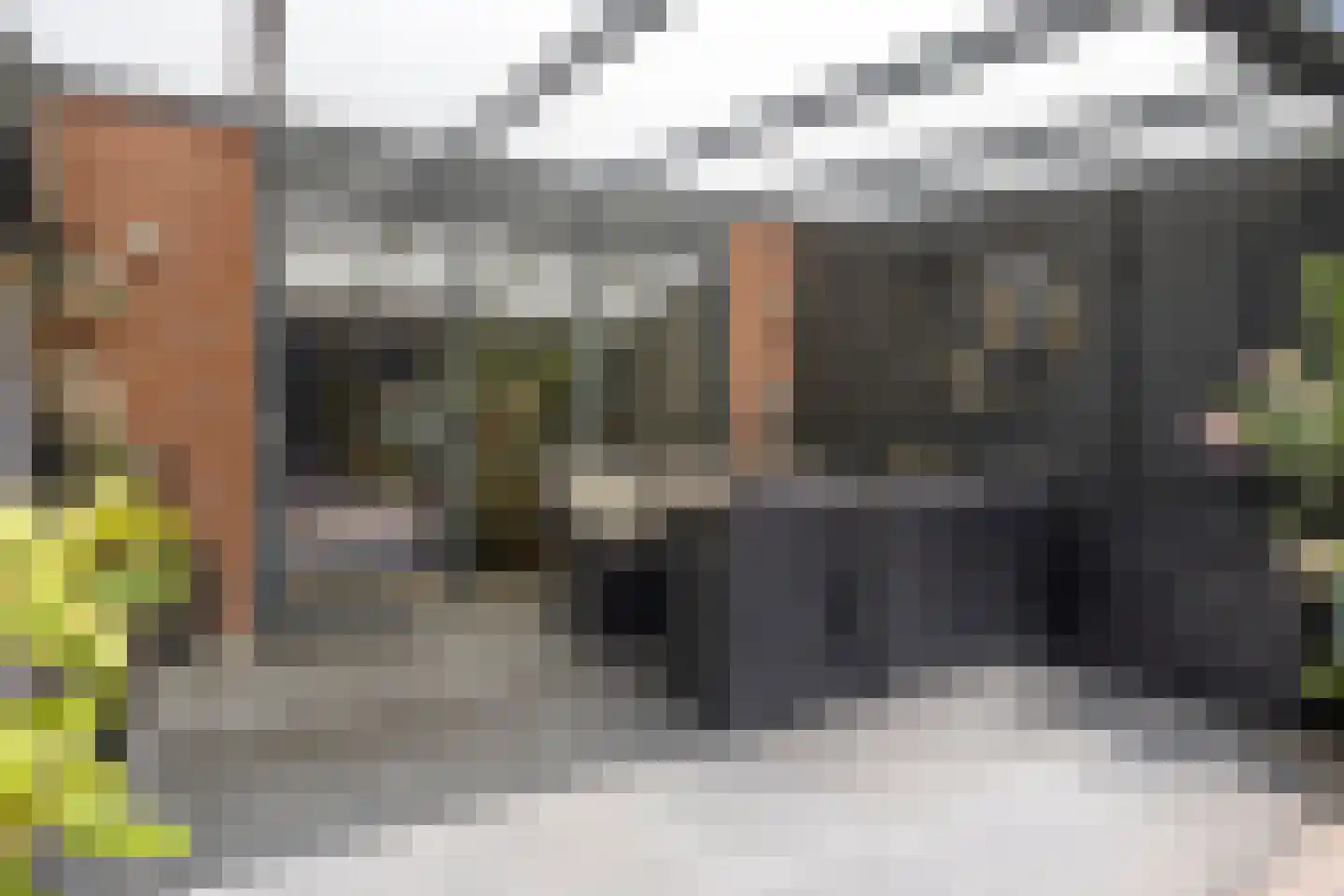 Zonnegloren 5 Boxtel thumbnail 46