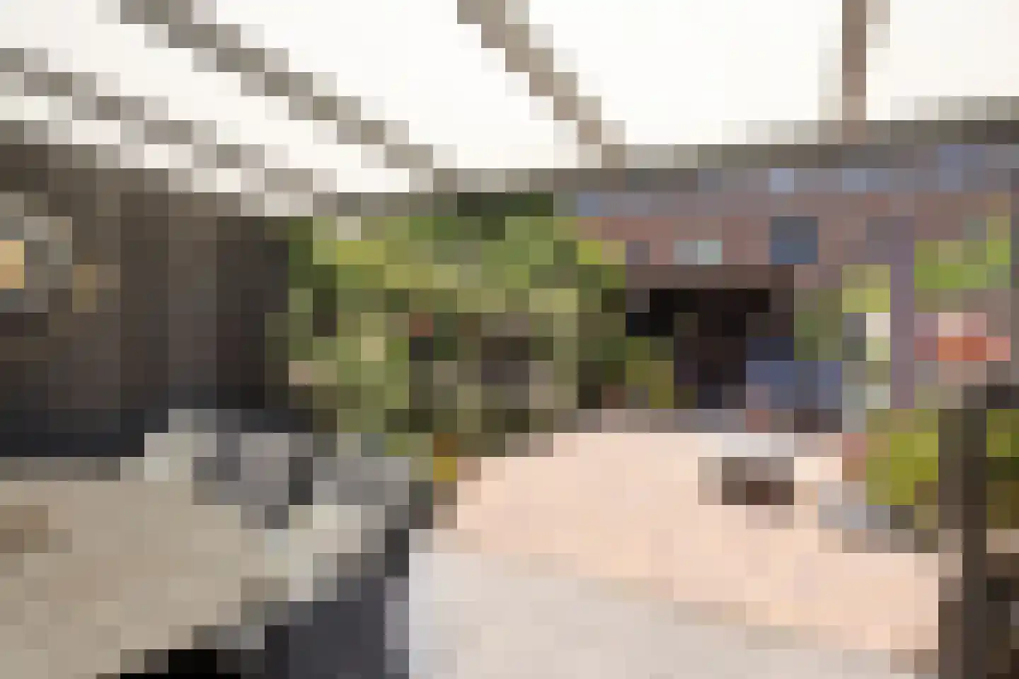Zonnegloren 5 Boxtel thumbnail 47