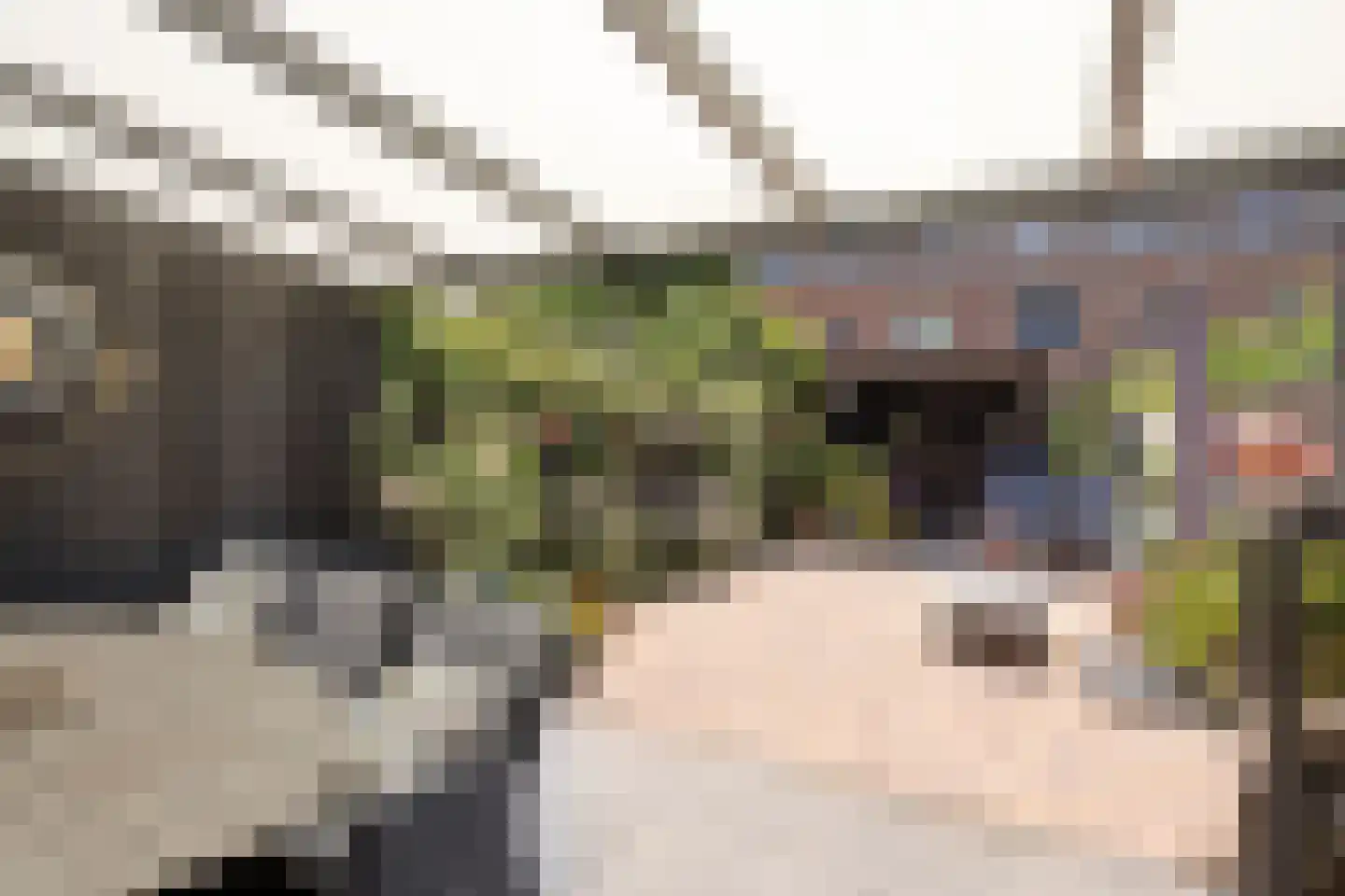 Zonnegloren 5 Boxtel thumbnail 47