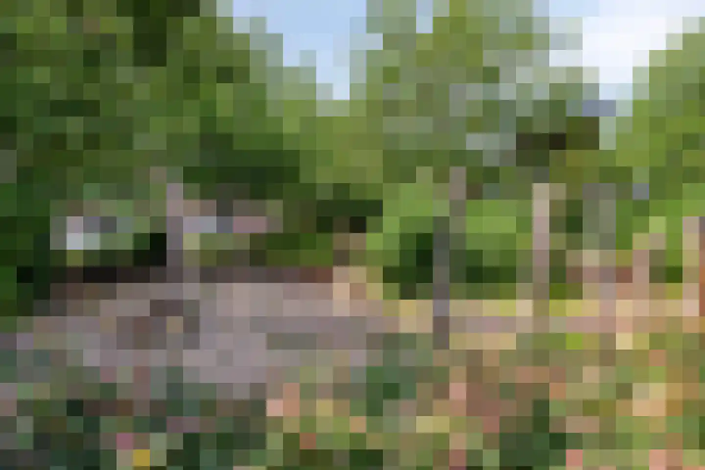 Zonnegloren 5 Boxtel thumbnail 50