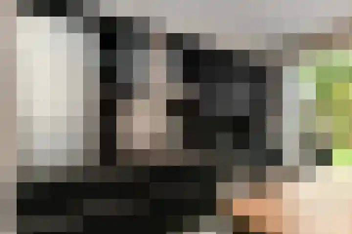 Zonnegloren 9 Elst thumbnail 11
