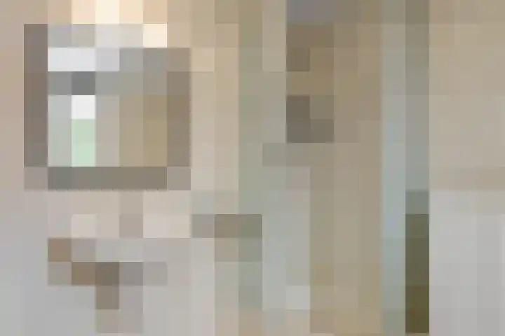Zonnegloren 9 Elst thumbnail 20