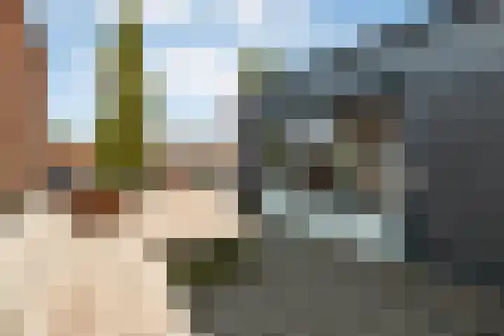 Zonnegloren 9 Elst thumbnail 27