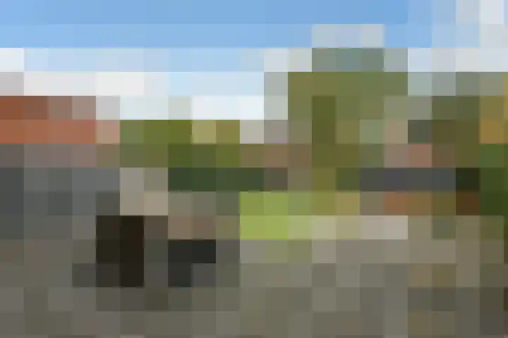 Zonnegloren 9 Elst thumbnail 28
