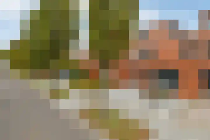 Zonnegloren 9 Elst thumbnail 38