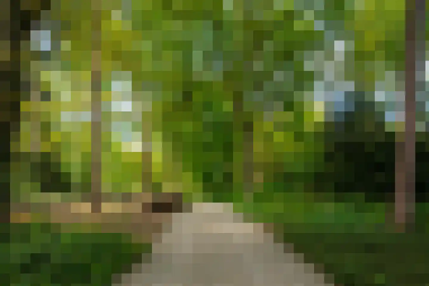 Zonneheuvelweg 26 Oosterbeek thumbnail 100