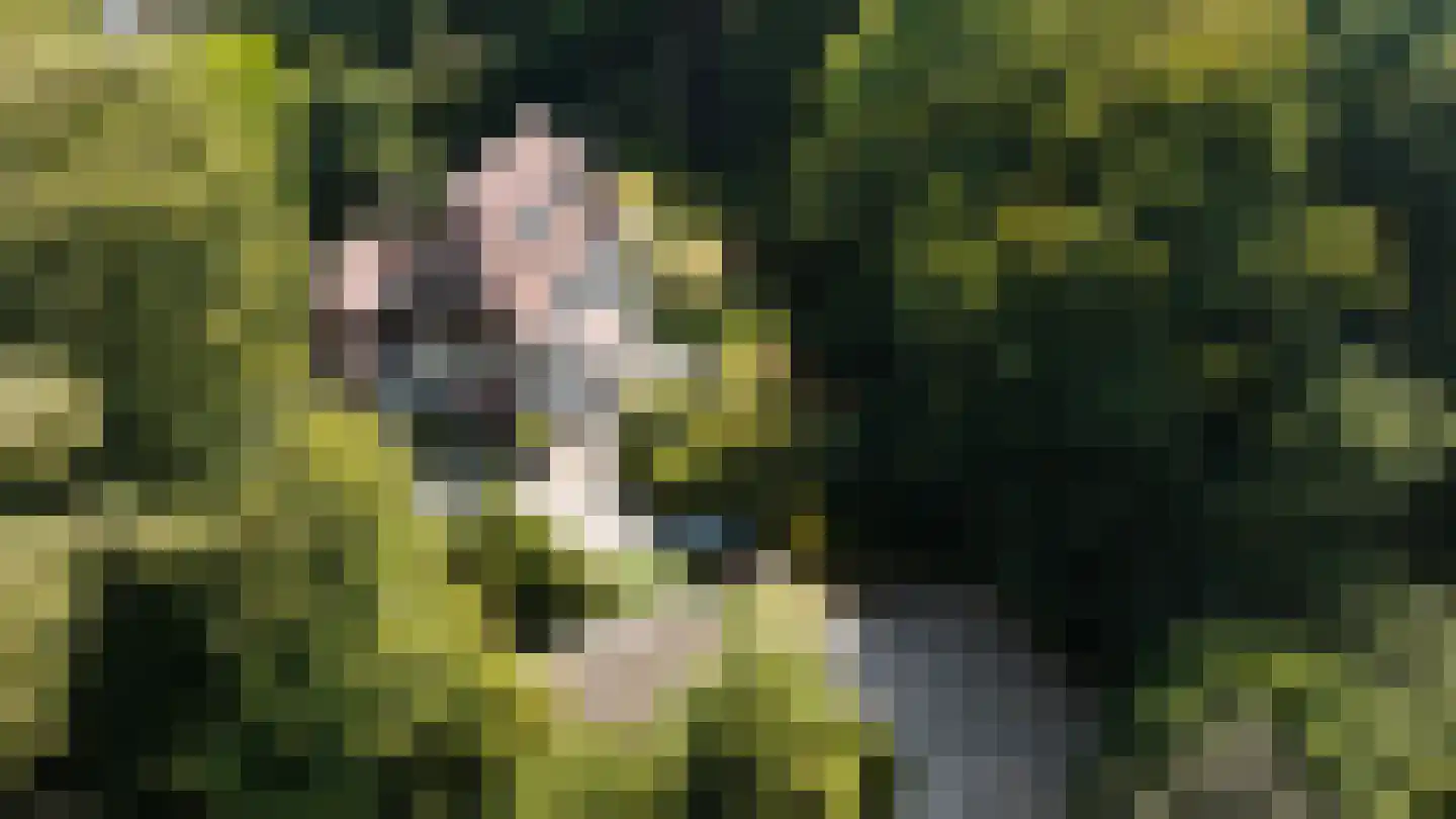 Zonneheuvelweg 26 Oosterbeek thumbnail 110