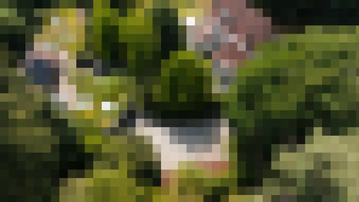 Zonneheuvelweg 26 Oosterbeek thumbnail 111