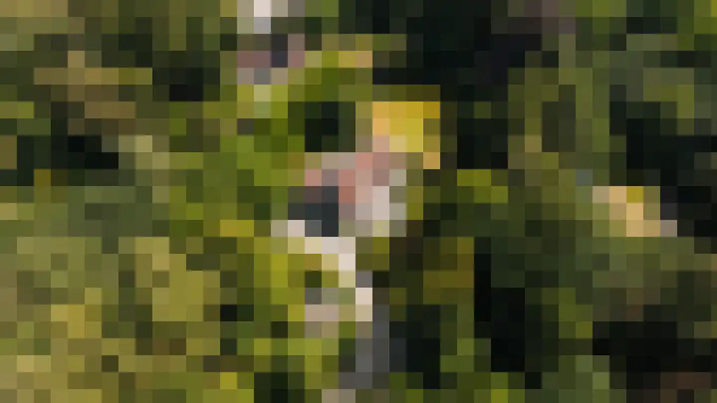 Zonneheuvelweg 26 Oosterbeek thumbnail 112