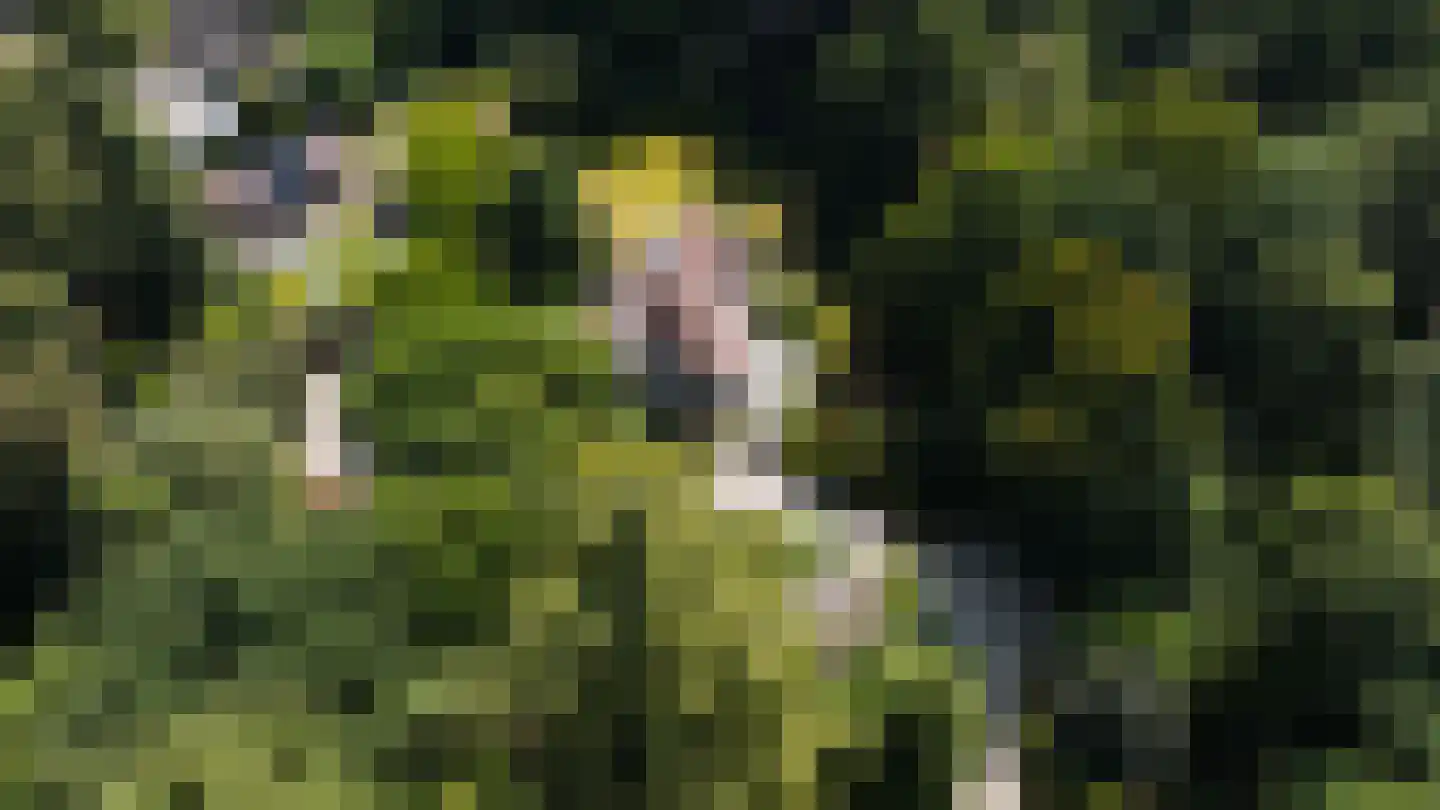 Zonneheuvelweg 26 Oosterbeek thumbnail 114
