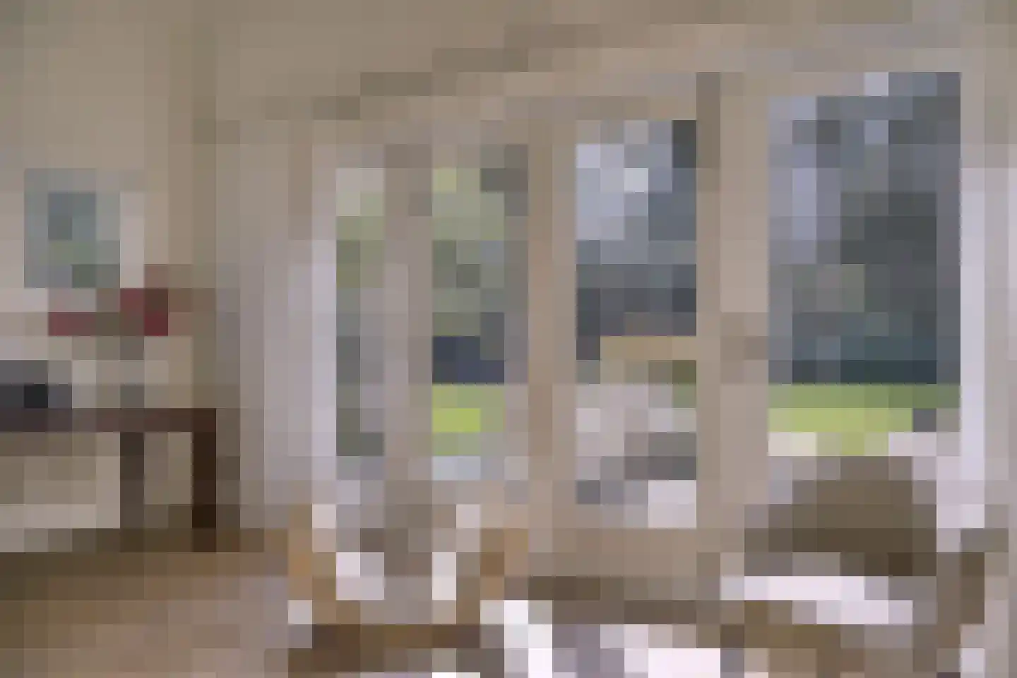Zonneheuvelweg 26 Oosterbeek thumbnail 25