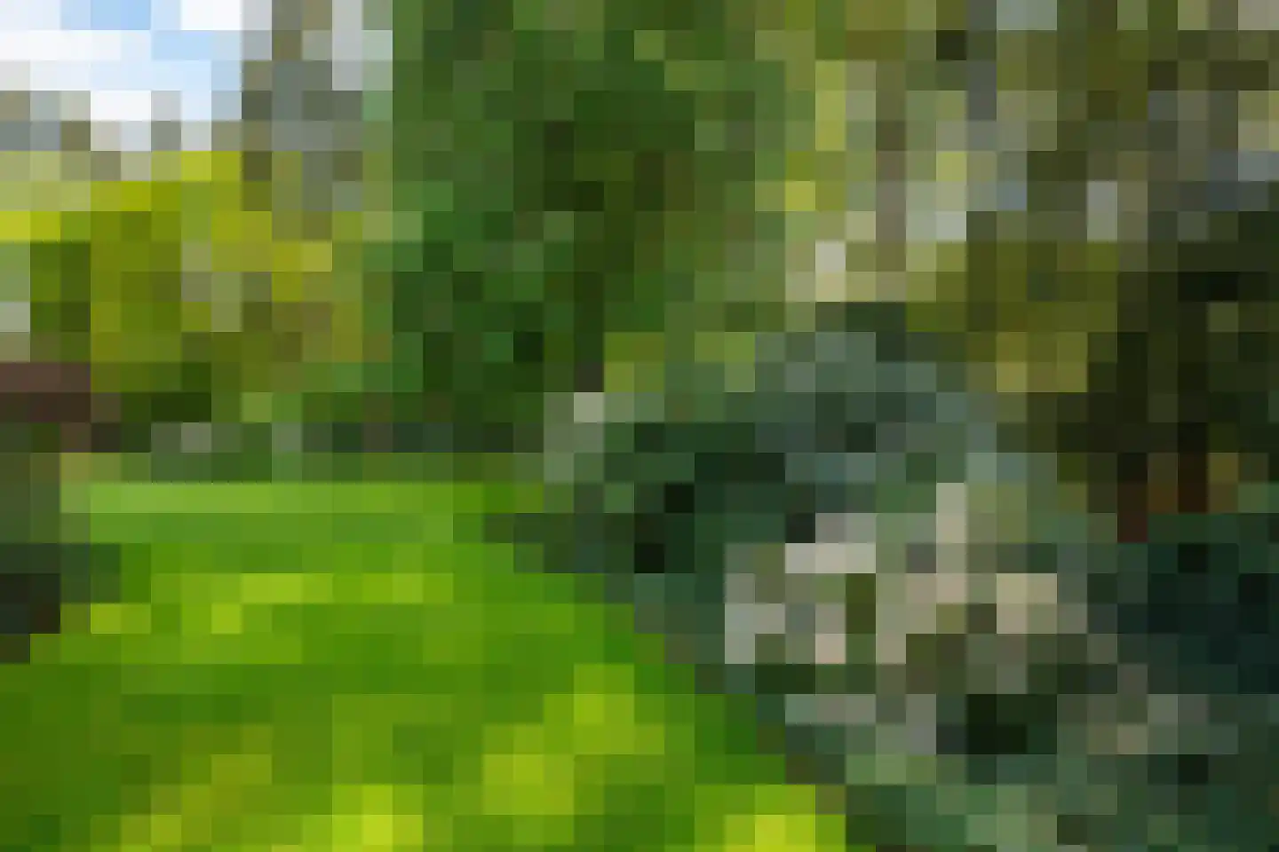 Zonneheuvelweg 26 Oosterbeek thumbnail 29